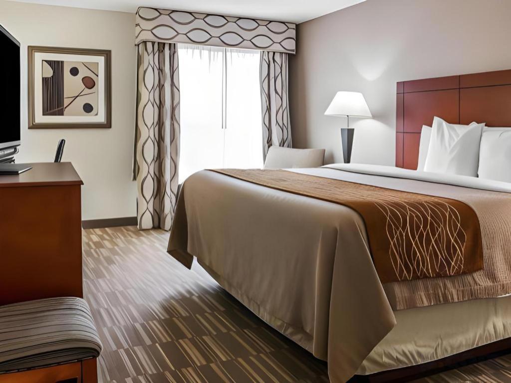 Comfort Inn & Suites University South Ann Arbor Ngoại thất bức ảnh