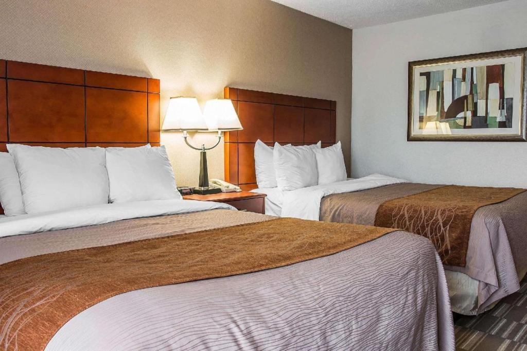 Comfort Inn & Suites University South Ann Arbor Ngoại thất bức ảnh