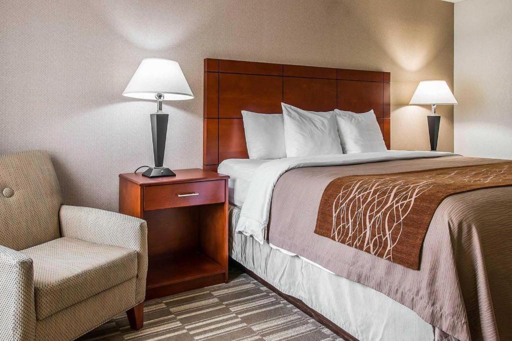 Comfort Inn & Suites University South Ann Arbor Ngoại thất bức ảnh