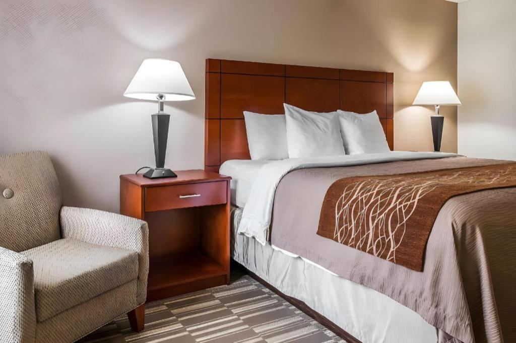 Comfort Inn & Suites University South Ann Arbor Ngoại thất bức ảnh