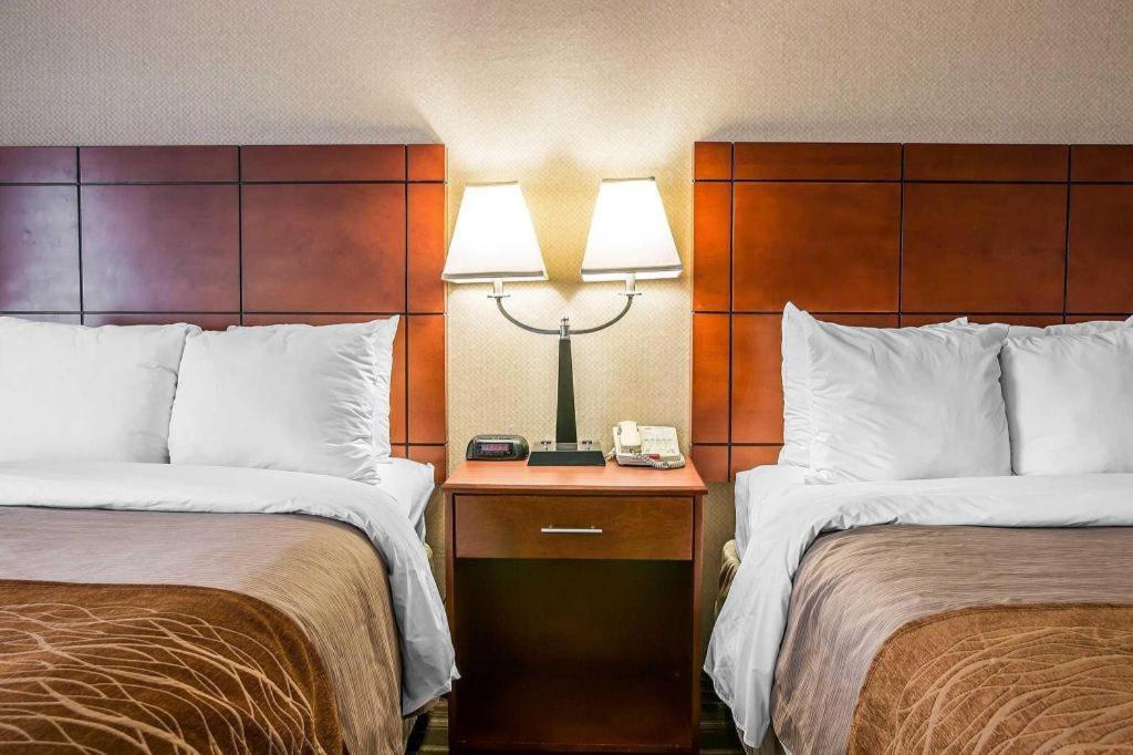 Comfort Inn & Suites University South Ann Arbor Ngoại thất bức ảnh