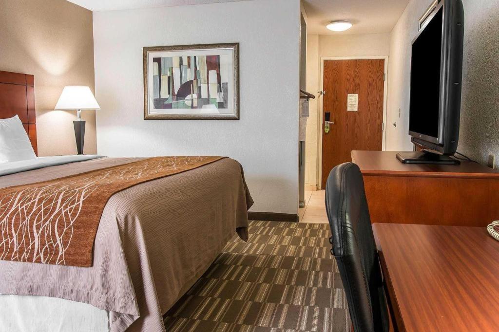 Comfort Inn & Suites University South Ann Arbor Ngoại thất bức ảnh