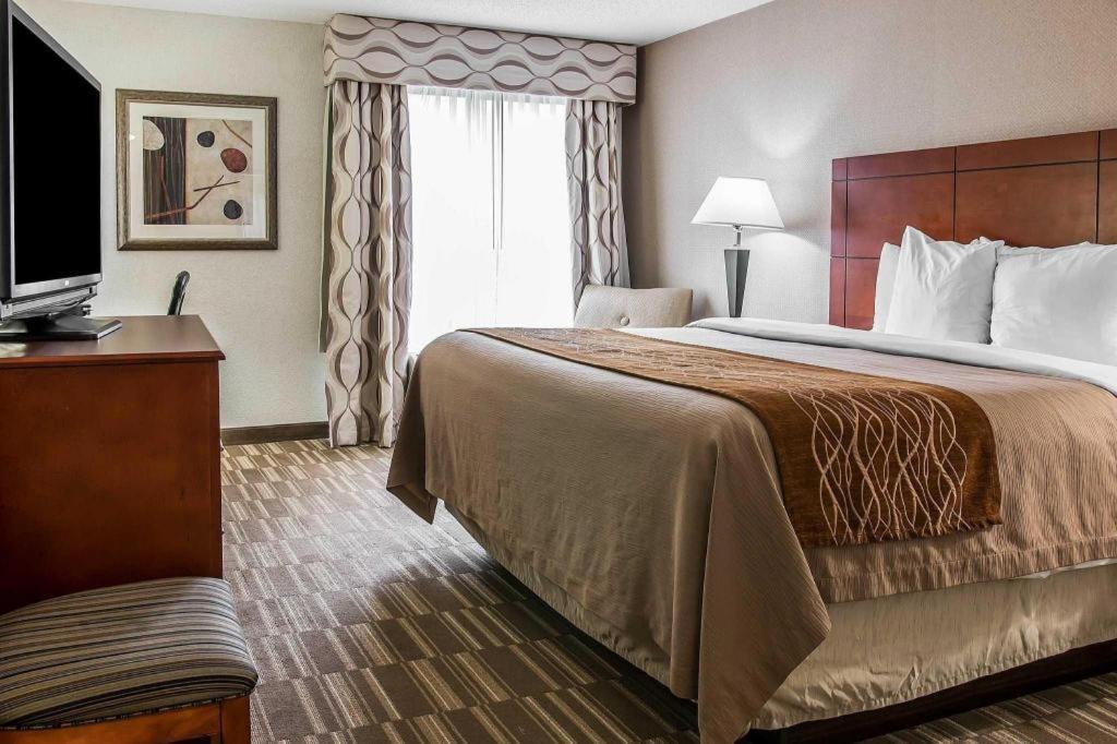 Comfort Inn & Suites University South Ann Arbor Ngoại thất bức ảnh