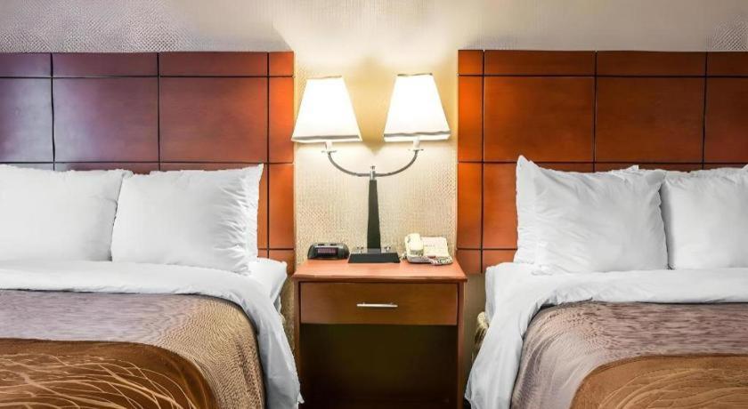 Comfort Inn & Suites University South Ann Arbor Ngoại thất bức ảnh