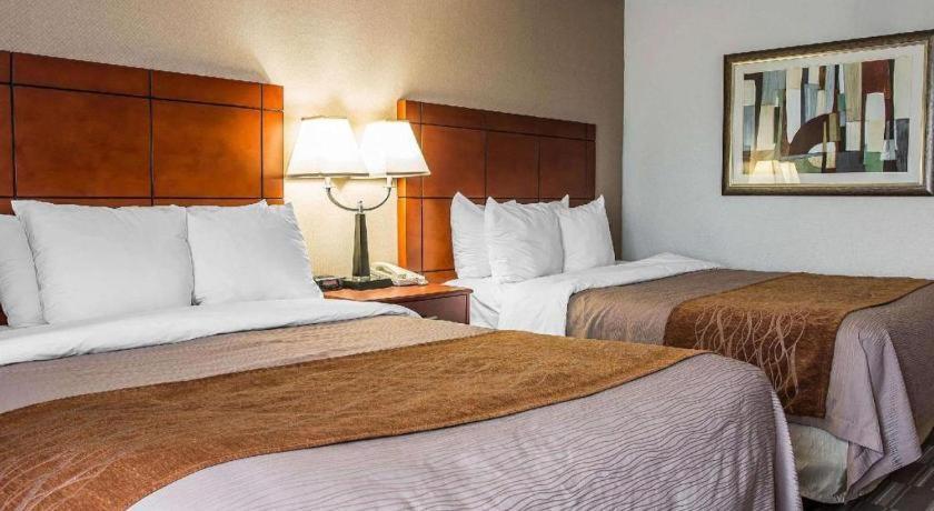 Comfort Inn & Suites University South Ann Arbor Ngoại thất bức ảnh