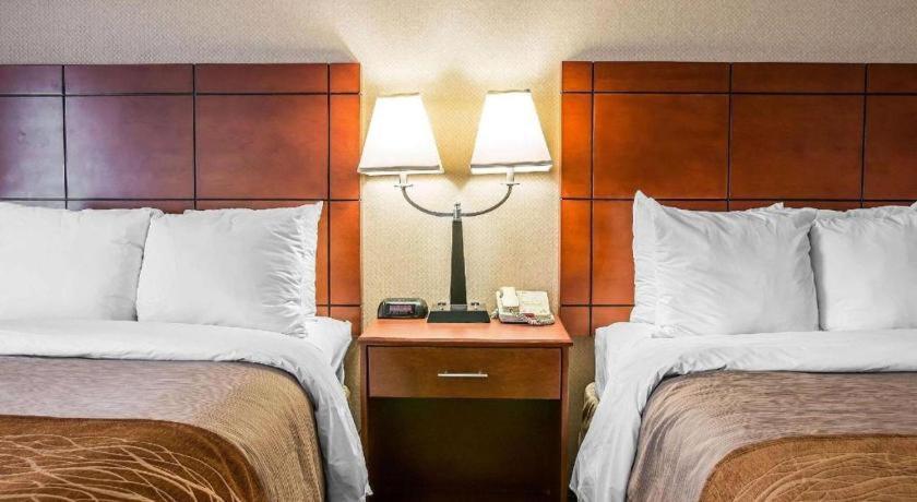 Comfort Inn & Suites University South Ann Arbor Ngoại thất bức ảnh