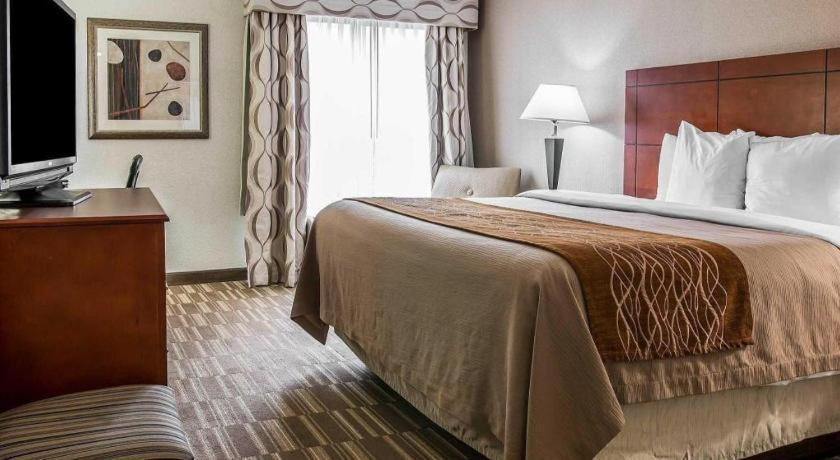 Comfort Inn & Suites University South Ann Arbor Ngoại thất bức ảnh