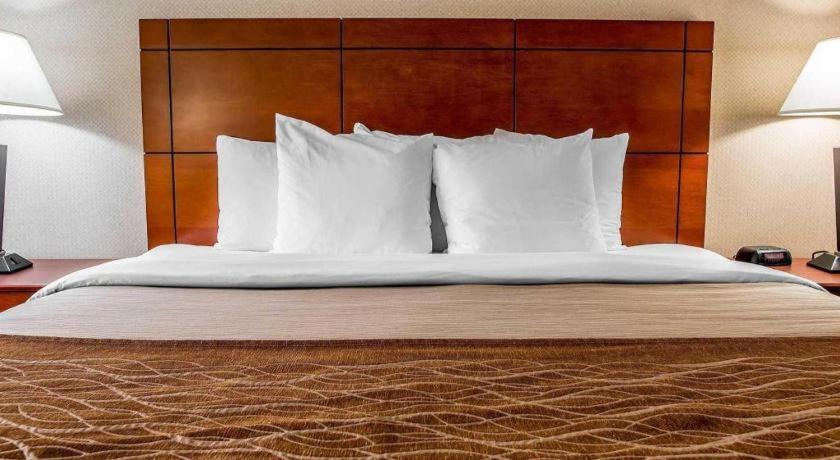 Comfort Inn & Suites University South Ann Arbor Ngoại thất bức ảnh