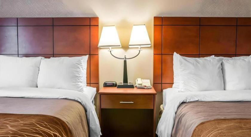 Comfort Inn & Suites University South Ann Arbor Ngoại thất bức ảnh